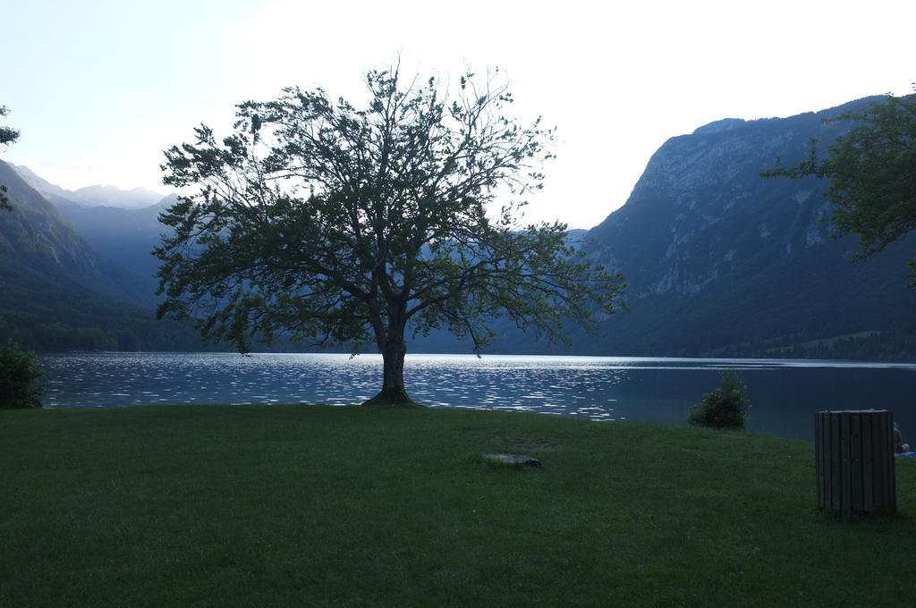 Apartment Brumec Bohinj Eksteriør bilde